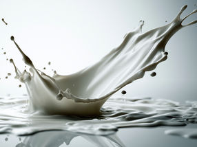 FrieslandCampina is investing over €90 million in high-value whey proteins