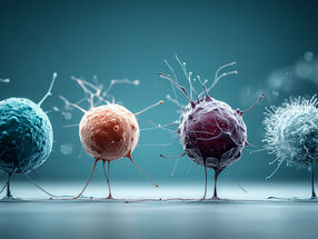 Four subtypes of leukaemia stem cells determine the success of treatment