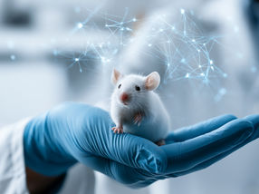 L'intelligence artificielle générative peut réduire considérablement le nombre d'expériences sur les animaux