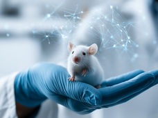 L'intelligenza artificiale generativa può ridurre significativamente il numero di esperimenti sugli animali
