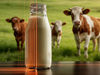 MIR-Spektroskopie: Eine Technologie zur Authentifizierung von A2-Milch