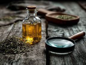 Food Fraud: Warum Kriminelle Oregano häufiger fälschen als Rindfleisch