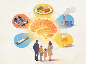 Why our brains age differently