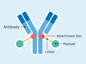 Asahi Kasei Life Science Acquires License for Novel Antibody-Drug Conjugate Technology from The Noguchi Institute