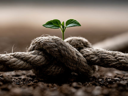 Porque é que as inovações na agricultura muitas vezes só produzem efeitos gradualmente