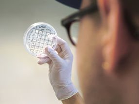 Making climate-neutral plastics and cosmetics using bacteria