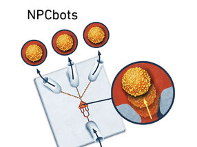 Microrobots repair spinal cord