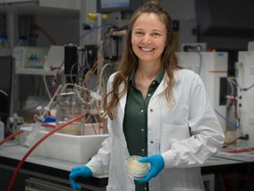 Fábricas bacterianas: uma chave para uma química amiga do ambiente