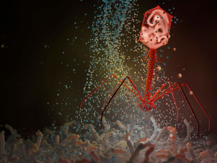 Nuovo antibiotico antivirale: la daunorubicina blocca i batteriofagi attraverso la morte cellulare prematura