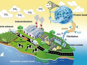 Aus Lebensmittelabfall wird CO₂-Fänger