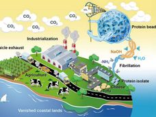 Convertir los residuos alimentarios en captadores de carbono