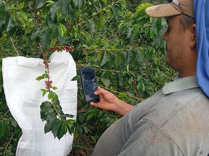 Comunicado de imprensa: A IA pode aumentar a resiliência dos agricultores às alterações climáticas?
