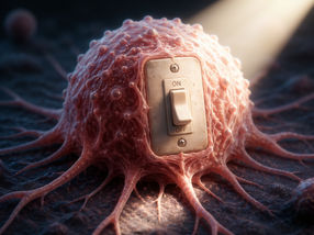 Light switch makes cancer vulnerable to attack