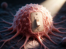 Um interruptor torna o cancro vulnerável a ataques