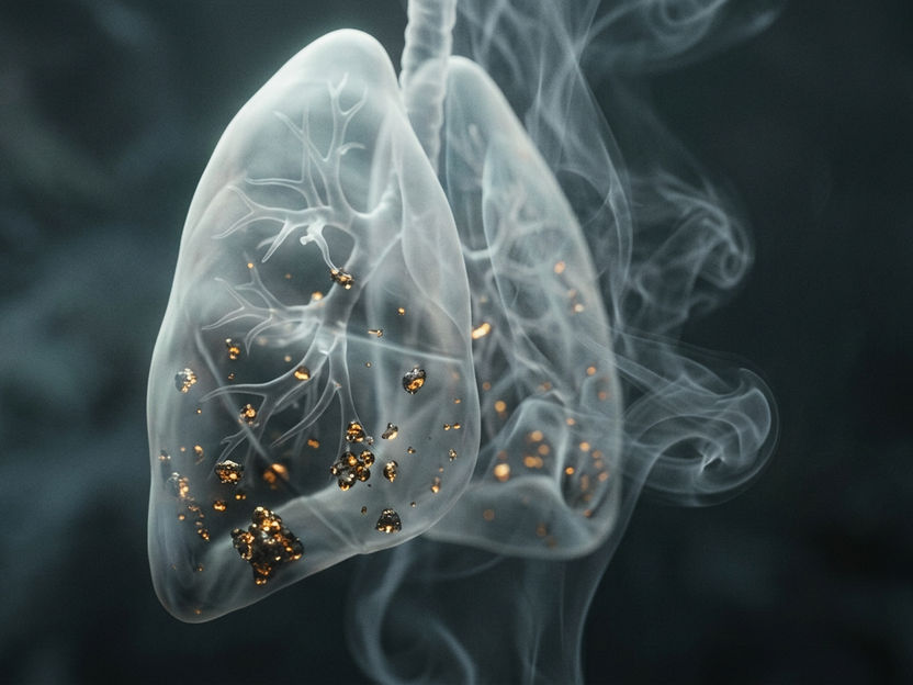 El humo de segunda mano puede depositar cadmio cancerígeno en el organismo - Un estudio revela que la exposición puede provocar que los niveles de este metal tóxico en sangre sean 1,5 veces superiores a los de las personas que se encuentran en entornos libres de humo