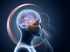 Un spray nasal agit différemment sur le cerveau d'une femme selon la semaine