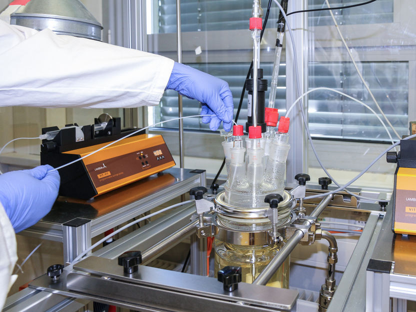 © Fraunhofer IGB