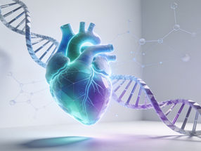 A Merck entra no mercado das cardiomiopatias genéticas com um acordo no valor de 50 milhões de dólares