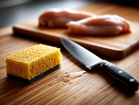 The Kitchen Sponge: A Microcosm—Bacterial Contamination Isn't Always Visible, Smellable, or Palpable