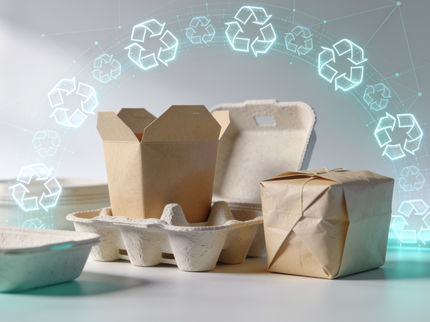 Los envases a base de fibra alcanzarán la mayor cuota de mercado en el sector alimentario para 2045