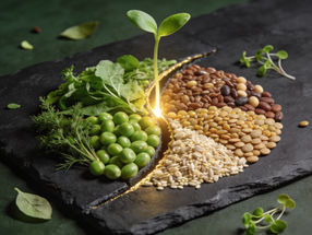 LIVEKINDLY Collective consolida su posición de liderazgo en el mercado de los alimentos de origen vegetal