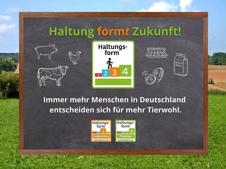 Abbildung: ILR/Uni Bonn
