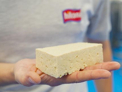 Hilcona verdoppelt Tofu-Produktion in Landquart