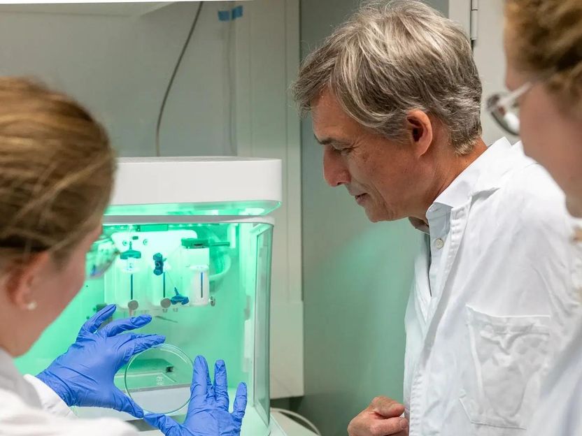 Le macchine molecolari programmabili sono sempre più vicine alla realtà - Sviluppato un robusto interruttore a DNA controllabile elettricamente