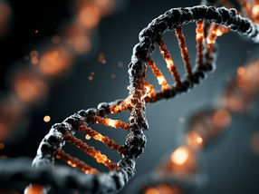 Novo método CRISPR permite controlar a produção de proteínas nas células