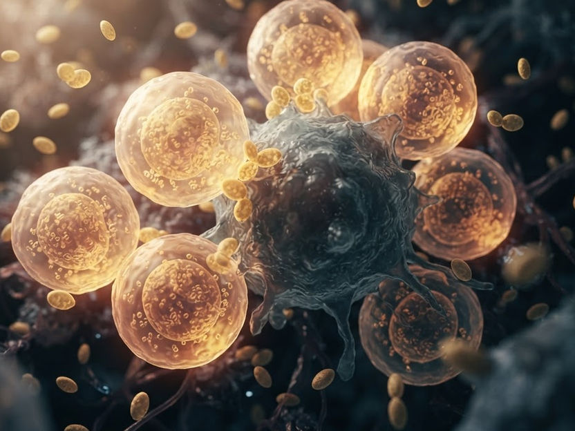 Los complementos alimenticios a base de levadura podrían constituir una estrategia nutricional segura para reforzar la inmunidad frente al cáncer