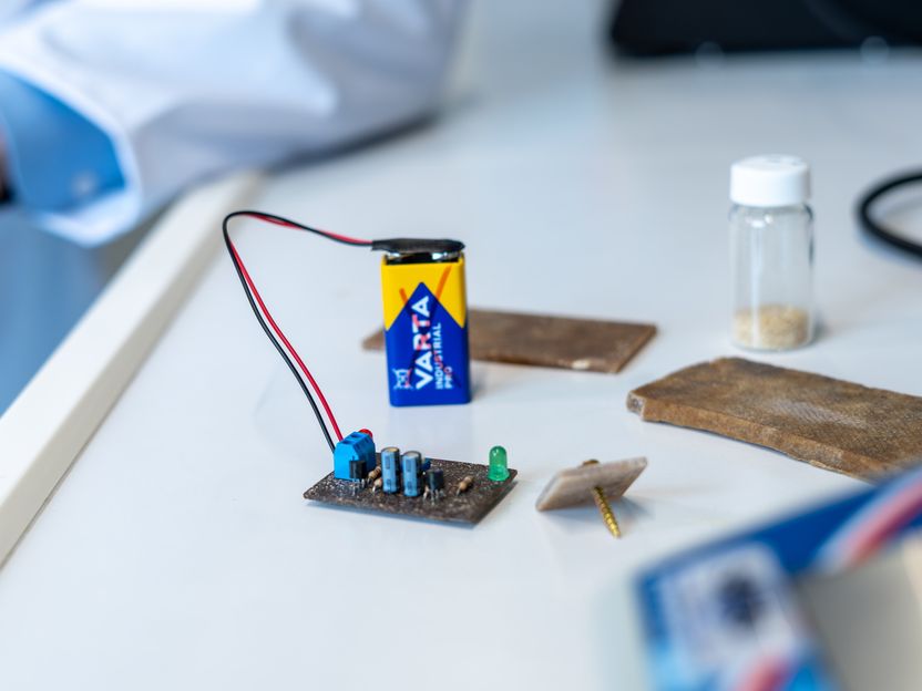Fungal mycelium instead of epoxy resin: compostable printed circuit board developed - Researchers are using waste from citric acid production as the basis for biodegradable printed circuit boards.