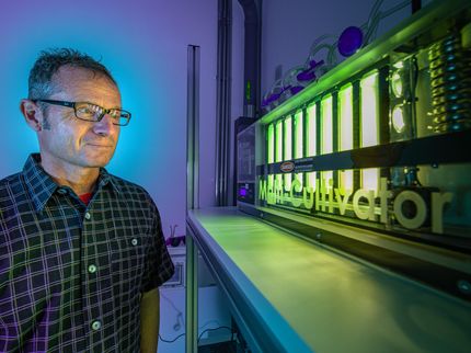 Découverte fortuite : la photosynthèse oxygénique est possible avec un seul photosystème