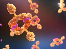 Il visugromab supera la resistenza all’immunoterapia antitumorale
