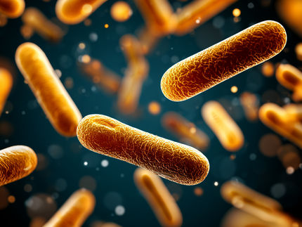 Cómo las bacterias se sacrifican para que los antibióticos dejen de ser eficaces