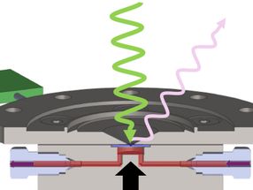 New sample environment allows glimpse into thermocatalytic processes