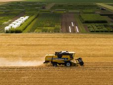 Land Degradation Significantly Reduces Crop Yields