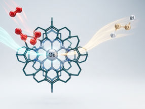 El KAIST desarrolla una plataforma molecular para el control selectivo de las vías de reacción del oxígeno