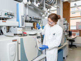 Sustainable protein supply: Turning solar power into protein