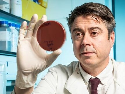 L'élevage industriel de volailles accélère la propagation d'une maladie d'origine alimentaire majeure