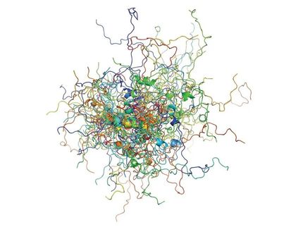 La proteina oncogena p53 osservata in azione: più ordine del previsto