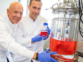 Stammzellen im industriellen Maßstab besser und günstiger produzieren