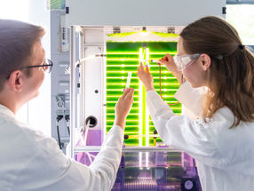 The Algemists: Research Team Uses Microalgae to Treat Wastewater and Produce Sustainable Raw Materials