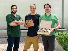Aquaponik trifft Insektenzucht
