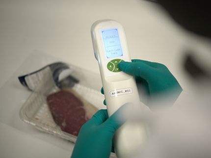 Un « nez électronique » permet de déterminer si la viande et le poisson sont encore comestibles
