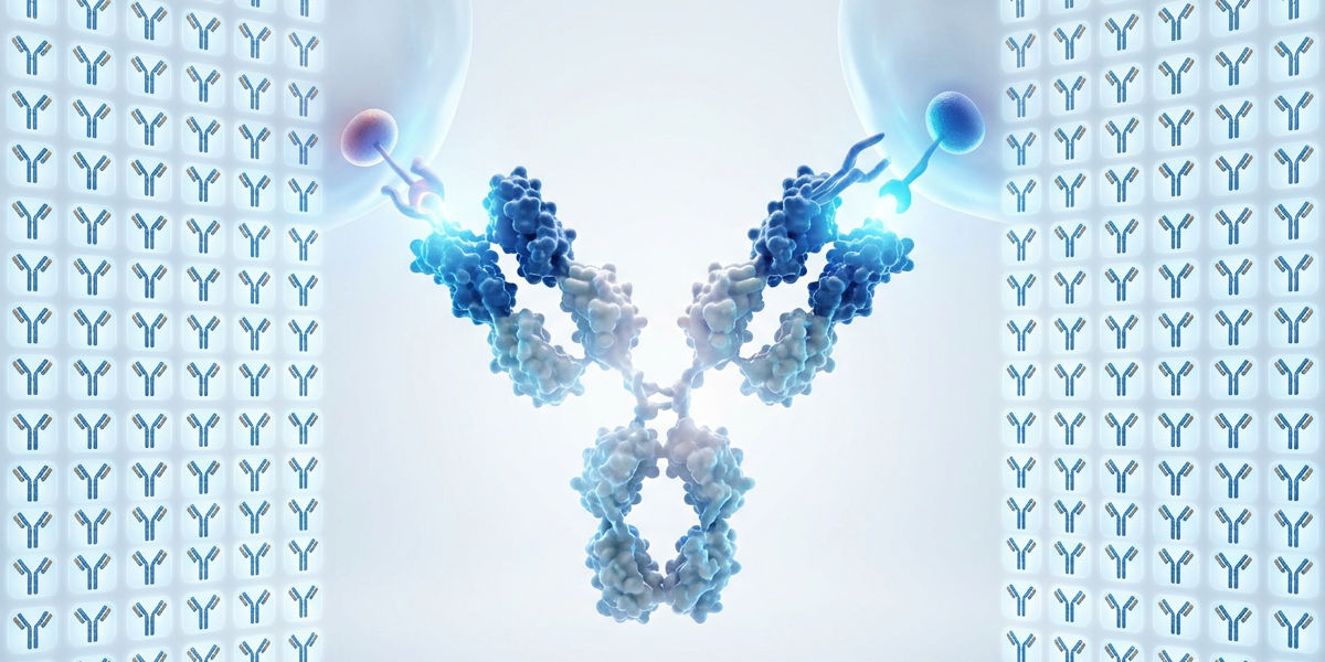 A Dualitas e a Roche estão a colaborar na descoberta de novos anticorpos bispecíficos para doenças do sistema imunitário e inflamatório