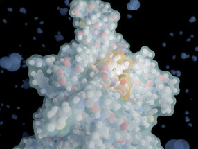 L'intelligenza artificiale come strumento nella ricerca sul gusto: progettazione de novo di peptidi amari