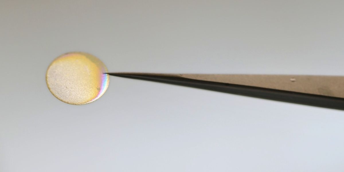 Lea Neubauer, MPIKG