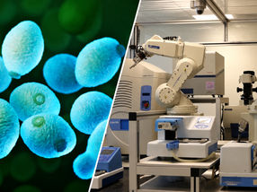 AI scientist autonomously generates and validates new biological discoveries