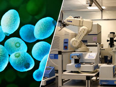 Un científico especializado en IA genera y valida de forma autónoma nuevos descubrimientos biológicos