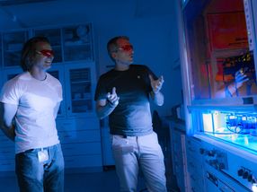 Efficient catalysis with less metal